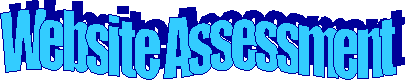 Website Assessment